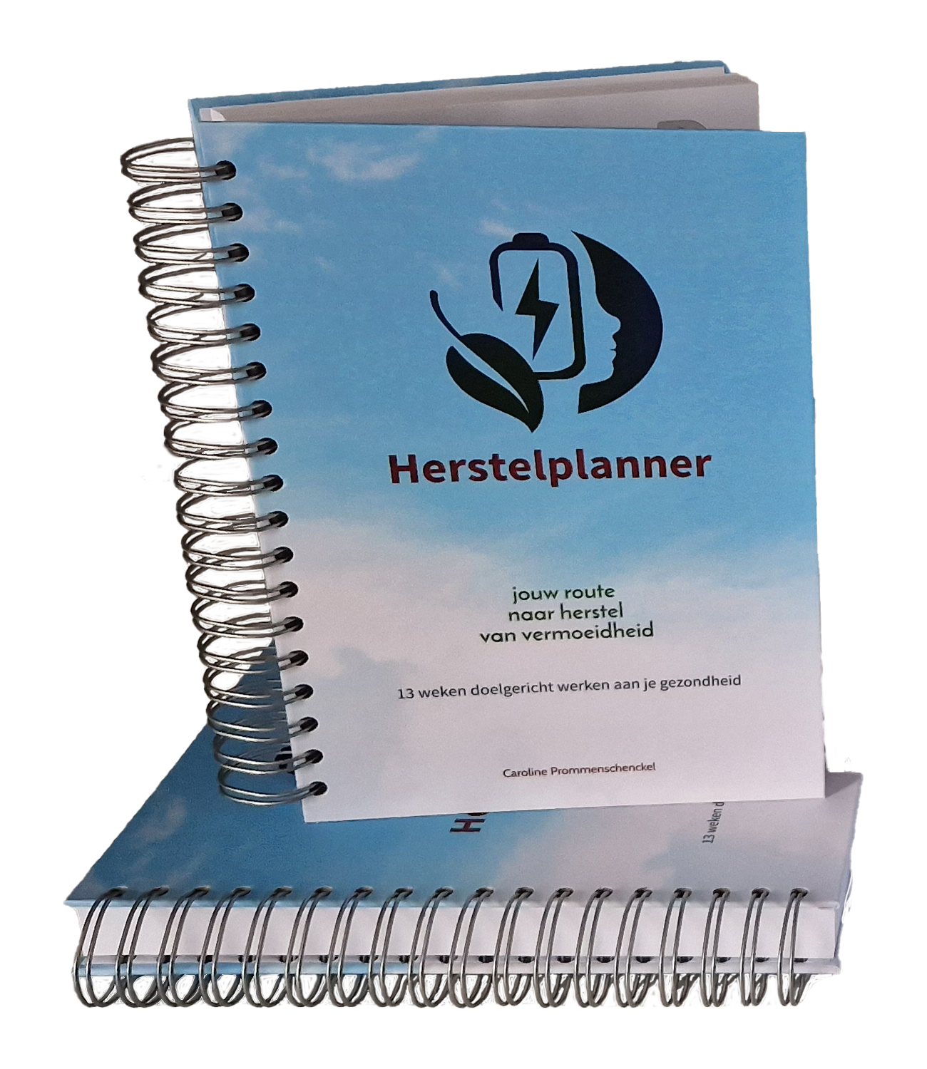 Herstelplanner (wire-O variant)