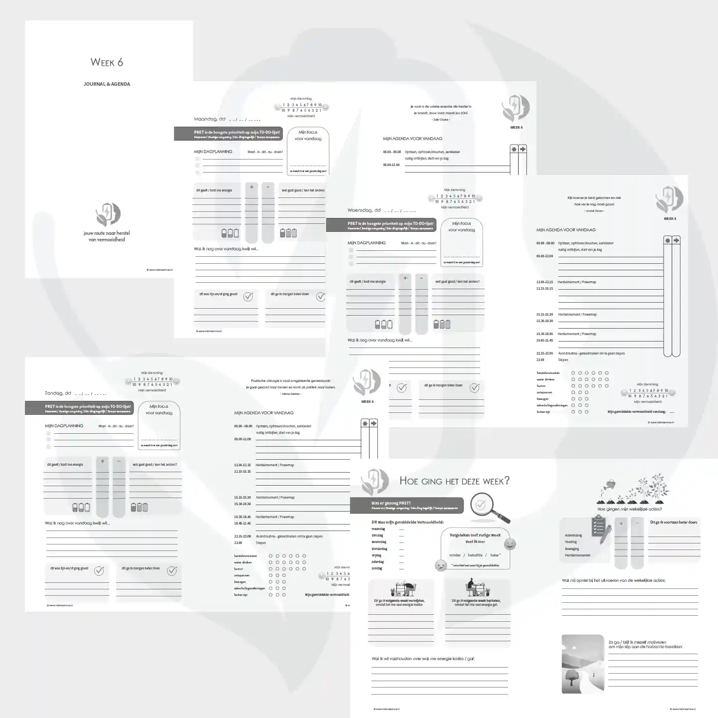 Extra agenda pagina's week 06